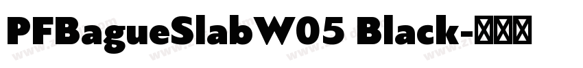 PFBagueSlabW05 Black字体转换